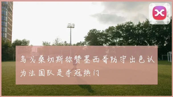 乌戈桑切斯称赞墨西哥防守出色认为法国队是夺冠热门